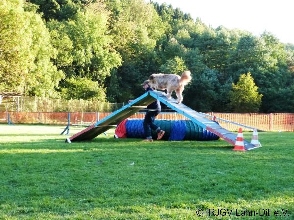 Agility 15.10.2015