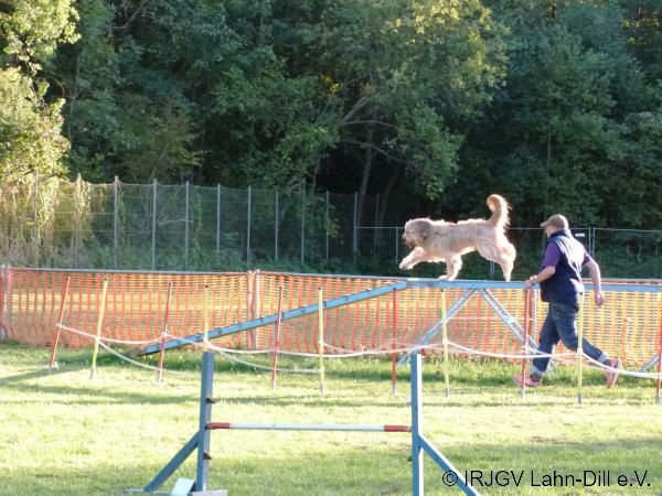 Agility 15.10.2015