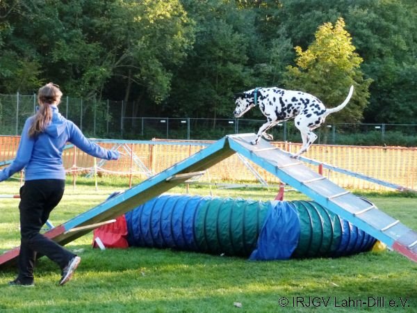 Agility 15.10.2015