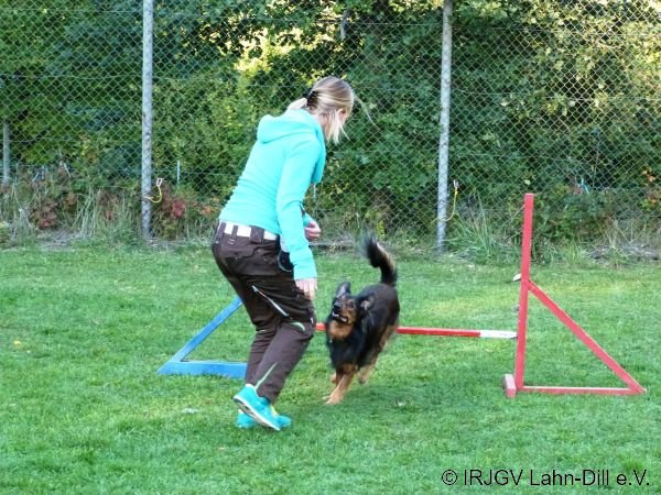 Agility 15.10.2015
