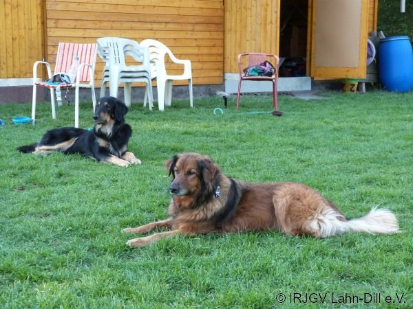 Agility 15.10.2015