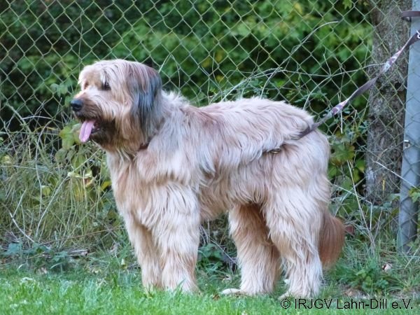 Agility 15.10.2015