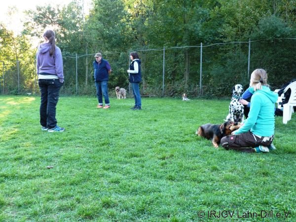 Agility 15.10.2015
