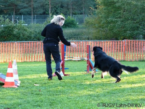 Agility 15.10.2015