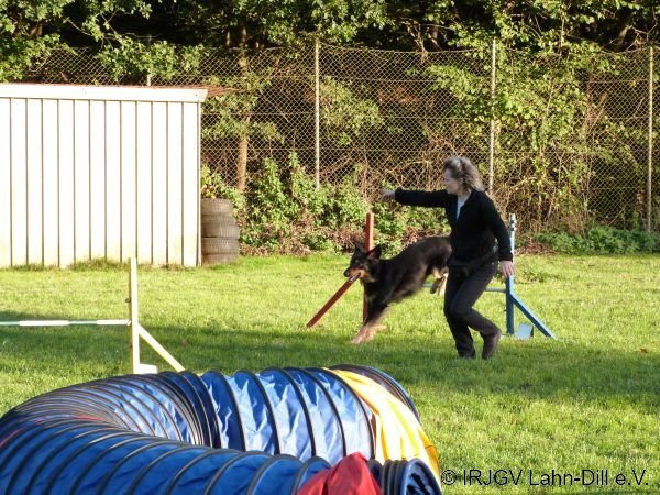 Agility 15.10.2015