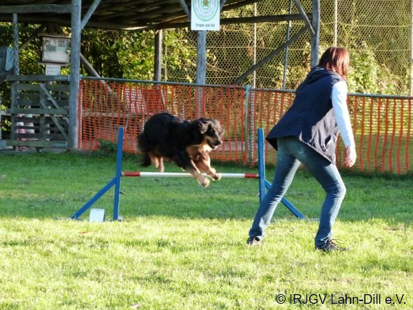 Agility 15.10.2015