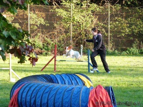 Agility 15.10.2015