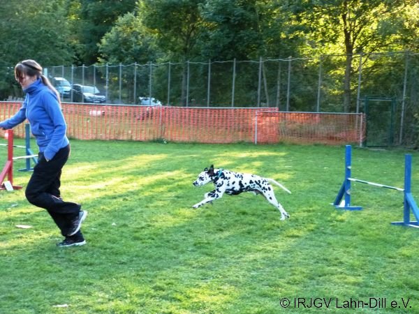 Agility 15.10.2015