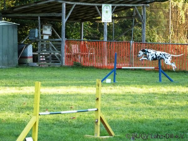 Agility 15.10.2015