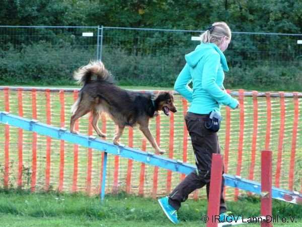 Agility 15.10.2015