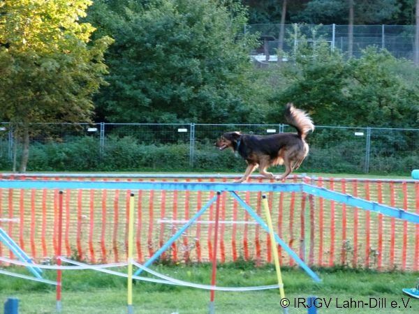 Agility 15.10.2015