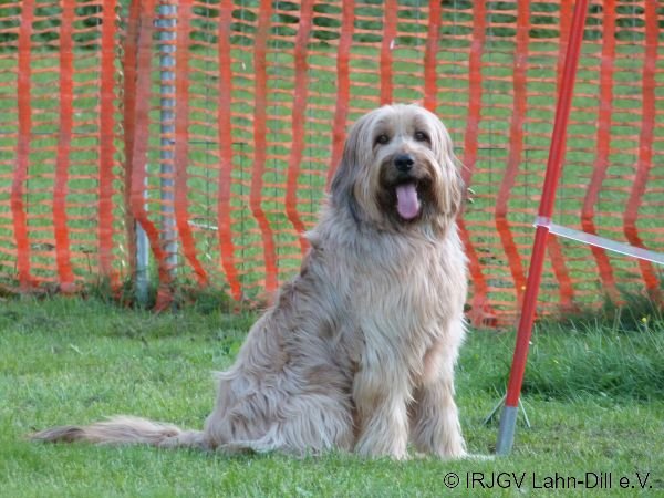 Agility 15.10.2015