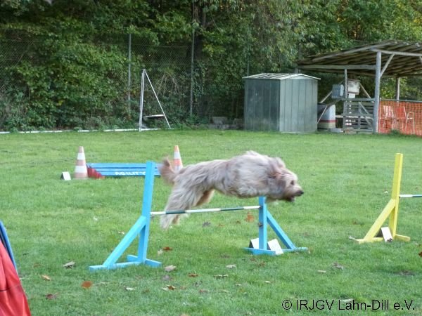 Agility 15.10.2015