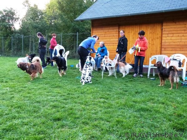 Agility 15.10.2015