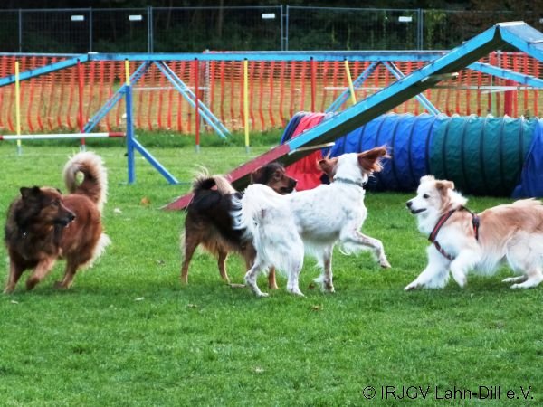 Agility 15.10.2015