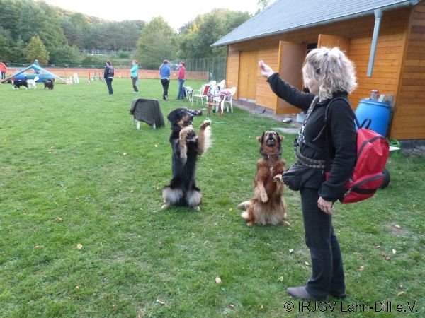 Agility 15.10.2015
