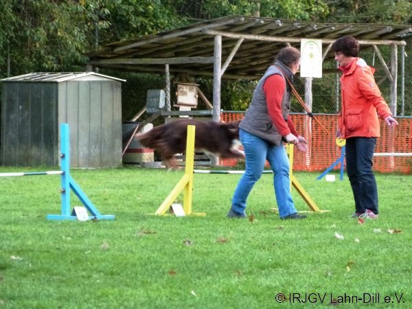 Agility 15.10.2015