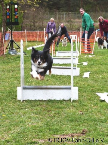 Ampeltraining April 2017