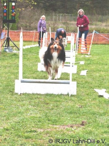 Ampeltraining April 2017