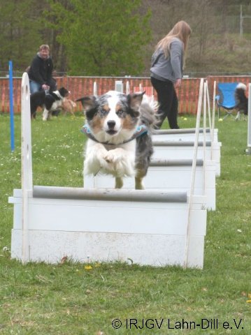 Ampeltraining April 2017