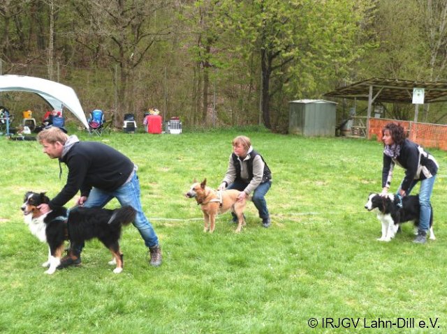 Ampeltraining April 2017