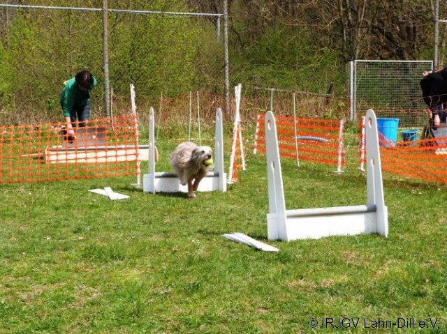 Ampeltraining April 2017