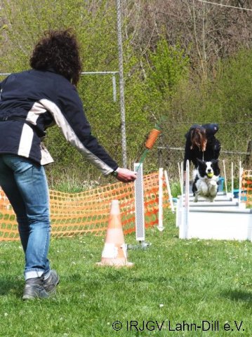 Ampeltraining April 2017