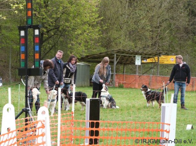 Ampeltraining April 2017
