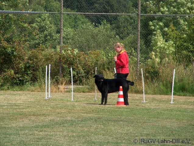 BGVP 11.07.2009