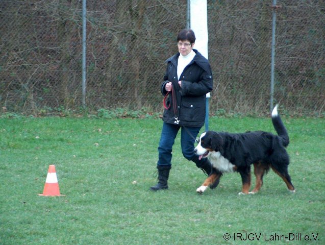 BGVP 29.11.2009