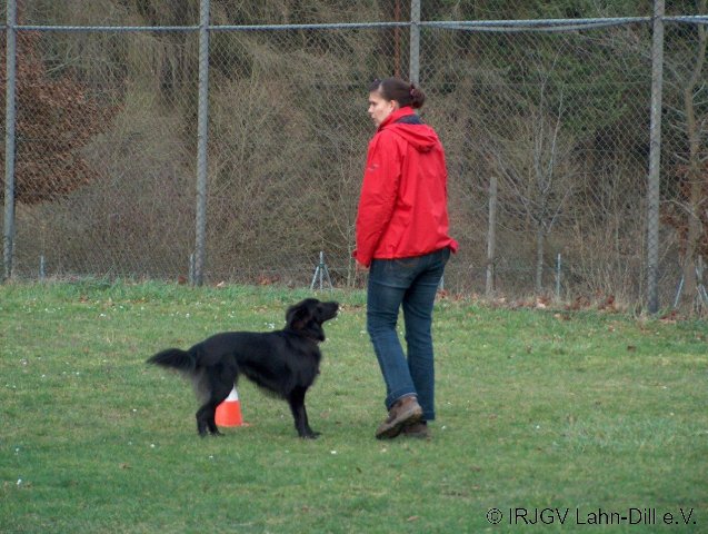 BGVP 29.11.2009
