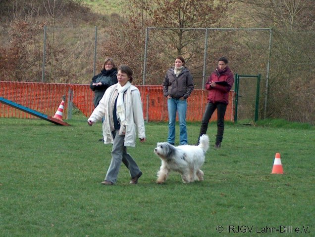 BGVP 29.11.2009