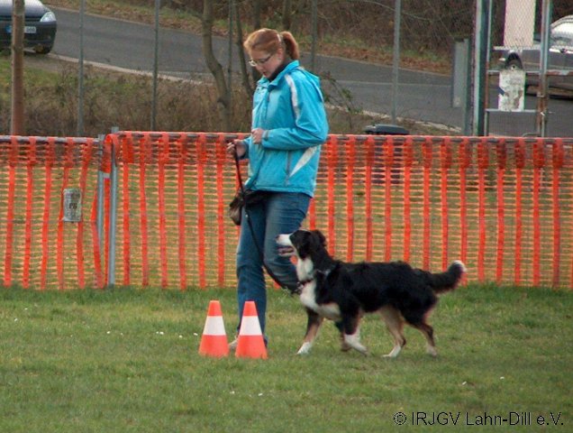 BGVP 29.11.2009