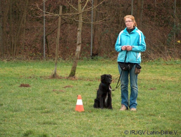BGVP 29.11.2009