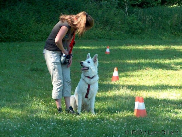 BGVP 27.06.2010
