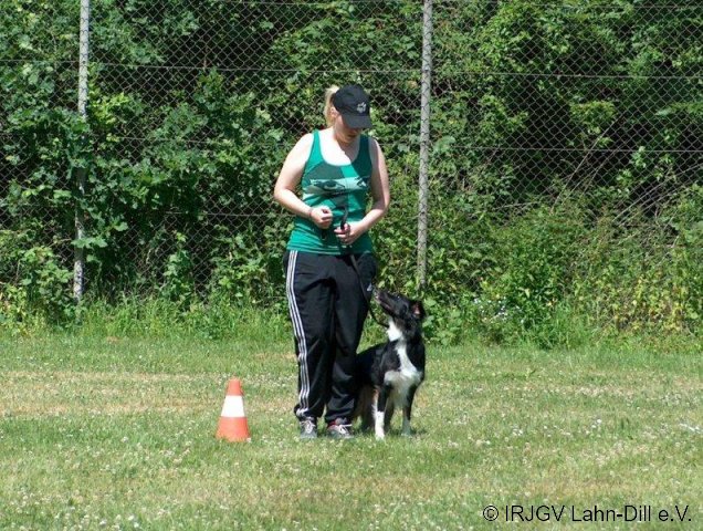 BGVP 27.06.2010