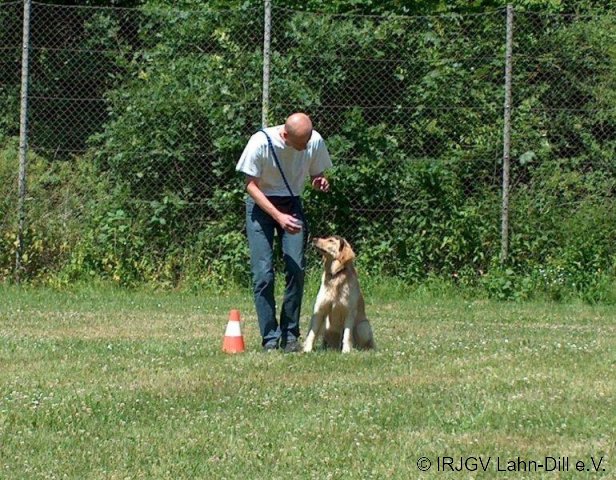 BGVP 27.06.2010