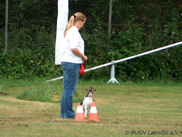 BGVP 04.07.2010