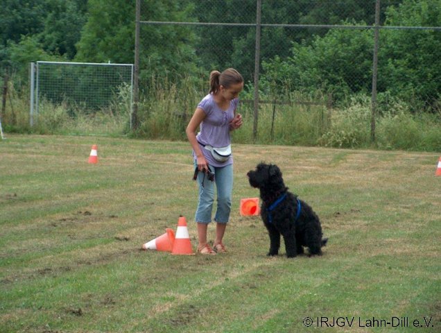 BGVP 04.07.2010