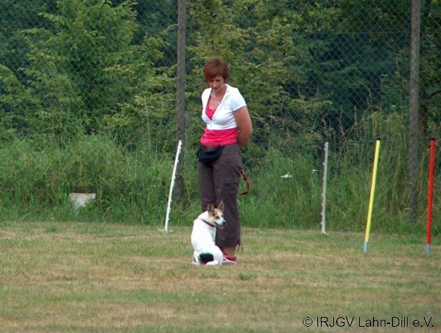 BGVP 04.07.2010