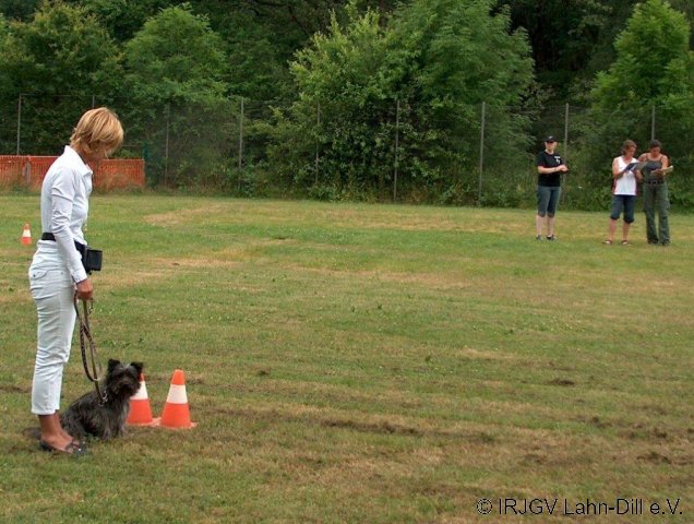 BGVP 04.07.2010