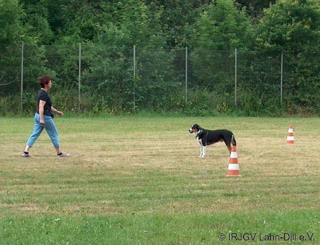 BGVP 04.07.2010