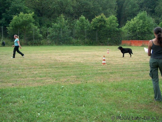 BGVP 04.07.2010