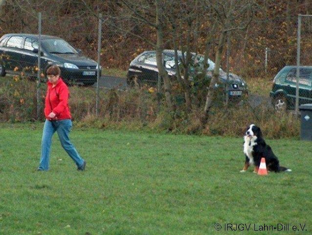 BGVP 14.11.2010