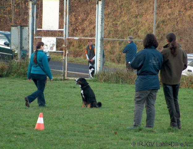 BGVP 14.11.2010