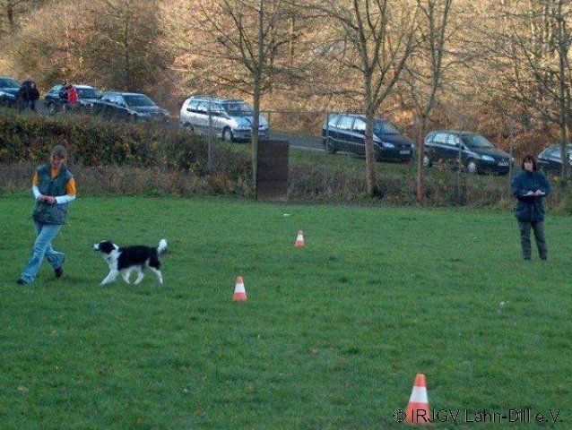 BGVP 14.11.2010