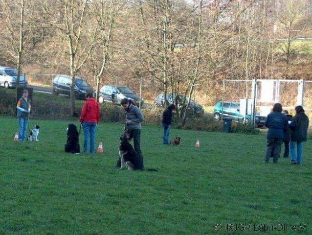BGVP 14.11.2010
