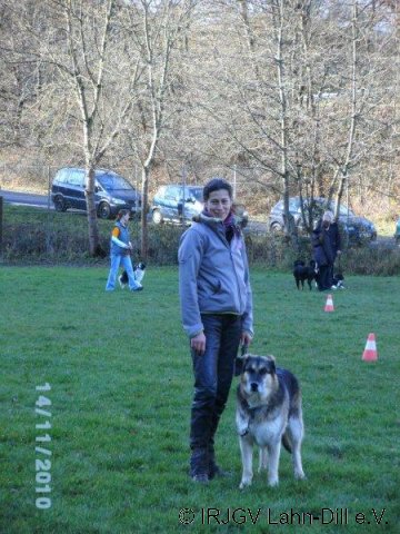 BGVP 14.11.2010