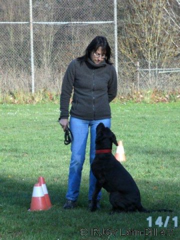 BGVP 14.11.2010
