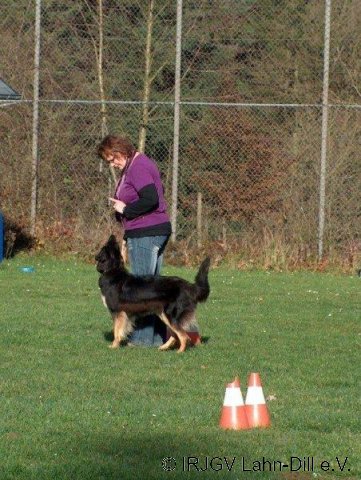BGVP 14.11.2010